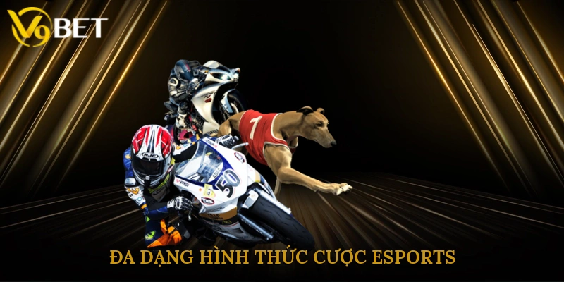 Đa dạng hình thức cược esports