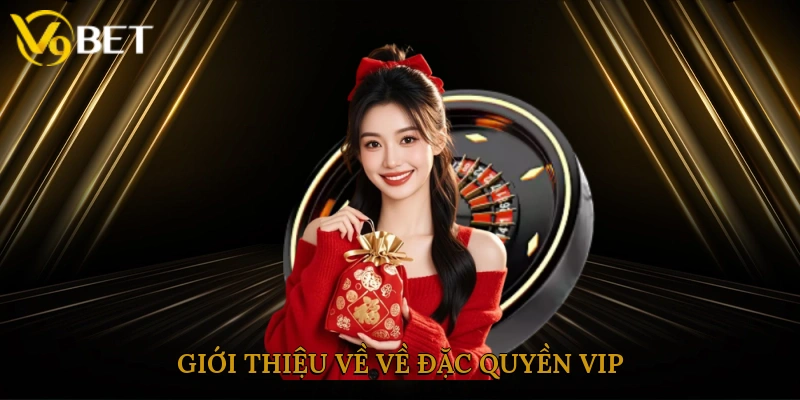 Giới thiệu về về đặc quyền VIP